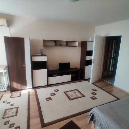 Eric'S Cozy Apartment 티미쇼아라 외부 사진
