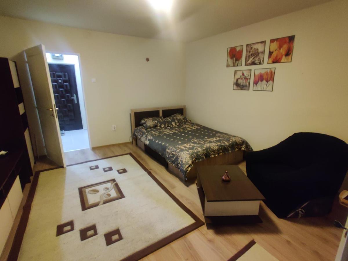 Eric'S Cozy Apartment 티미쇼아라 외부 사진