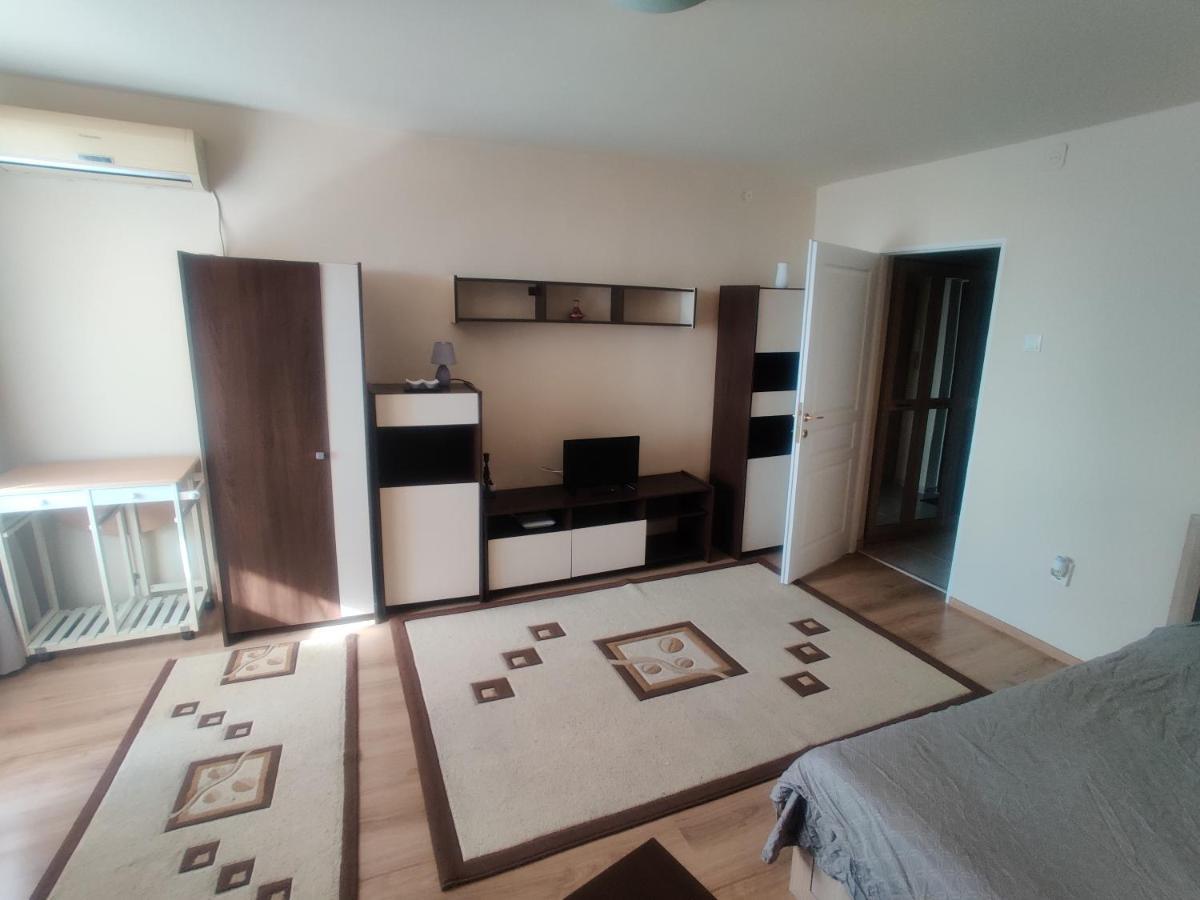 Eric'S Cozy Apartment 티미쇼아라 외부 사진