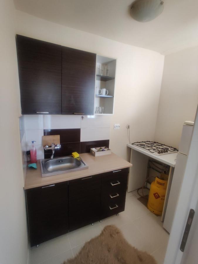 Eric'S Cozy Apartment 티미쇼아라 외부 사진