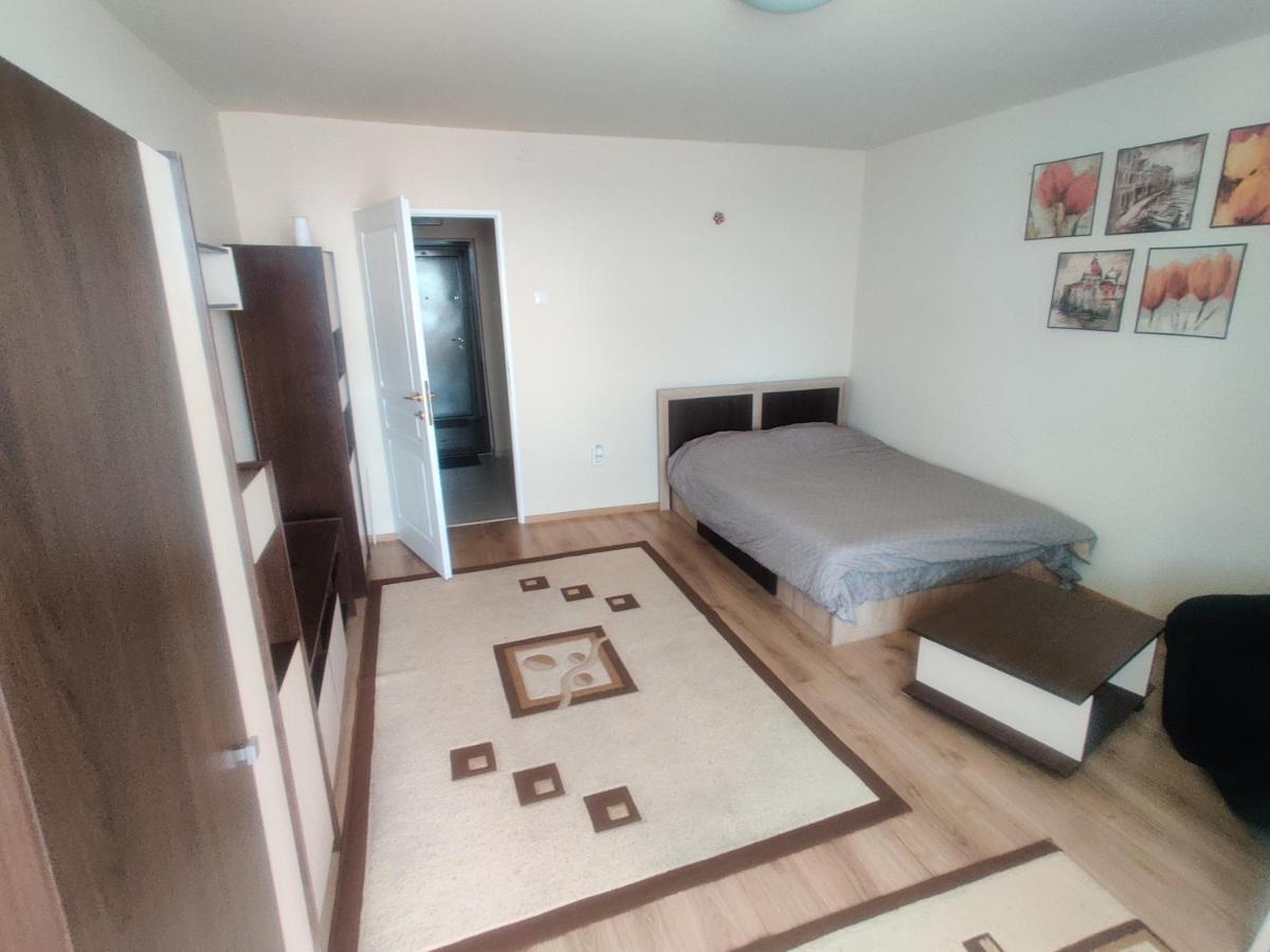Eric'S Cozy Apartment 티미쇼아라 외부 사진